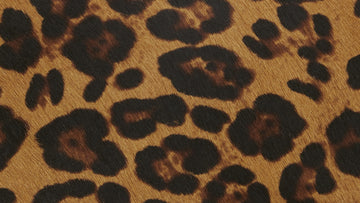 LeopardPonyHair